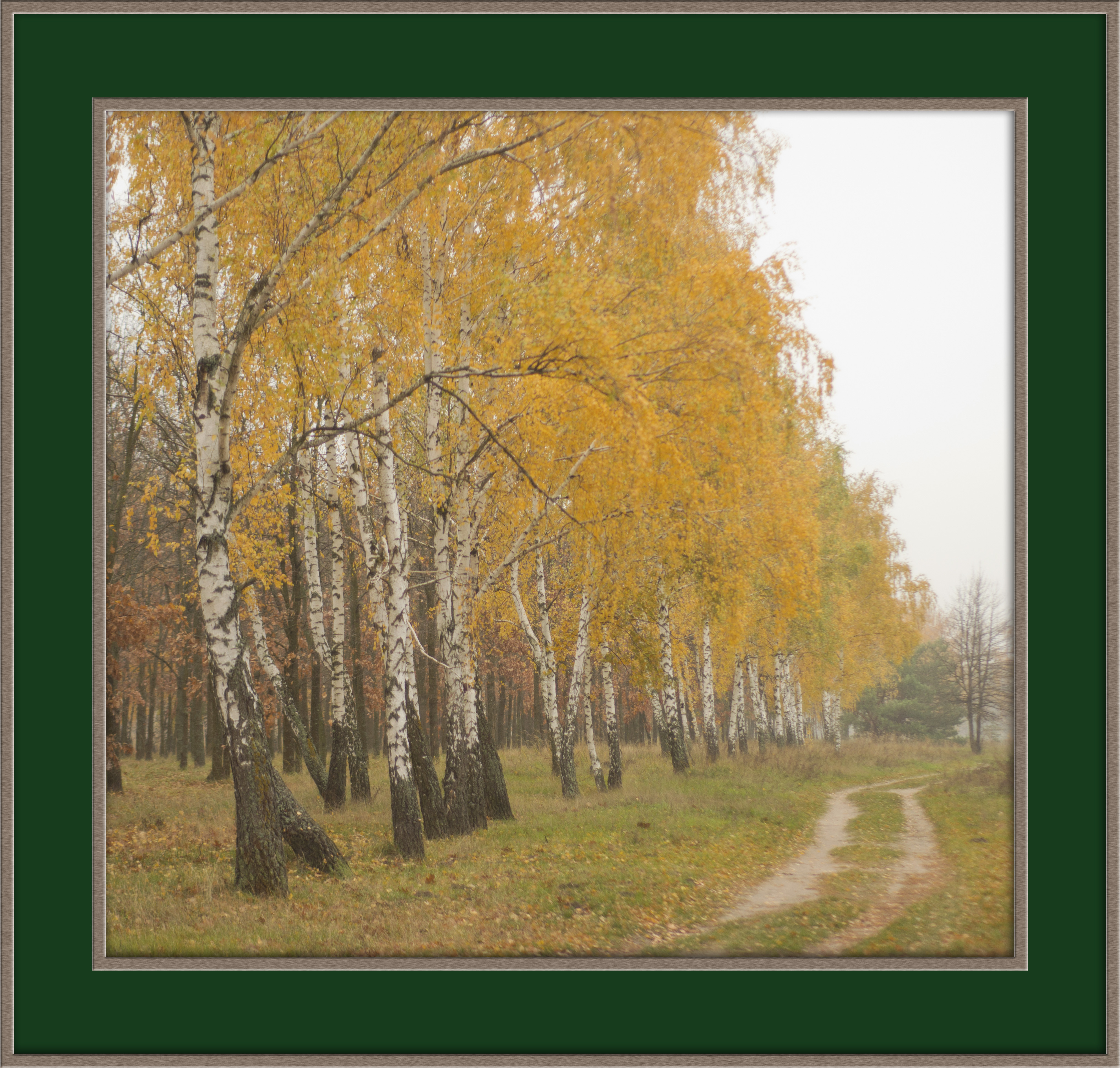 Осеннее утро.